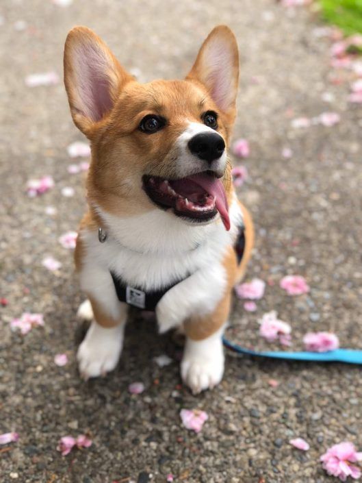 Foto Lala