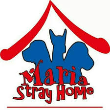 Foto Shelter Maria Stray Home